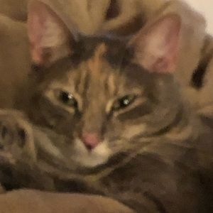 Meet your Posher, Nicola